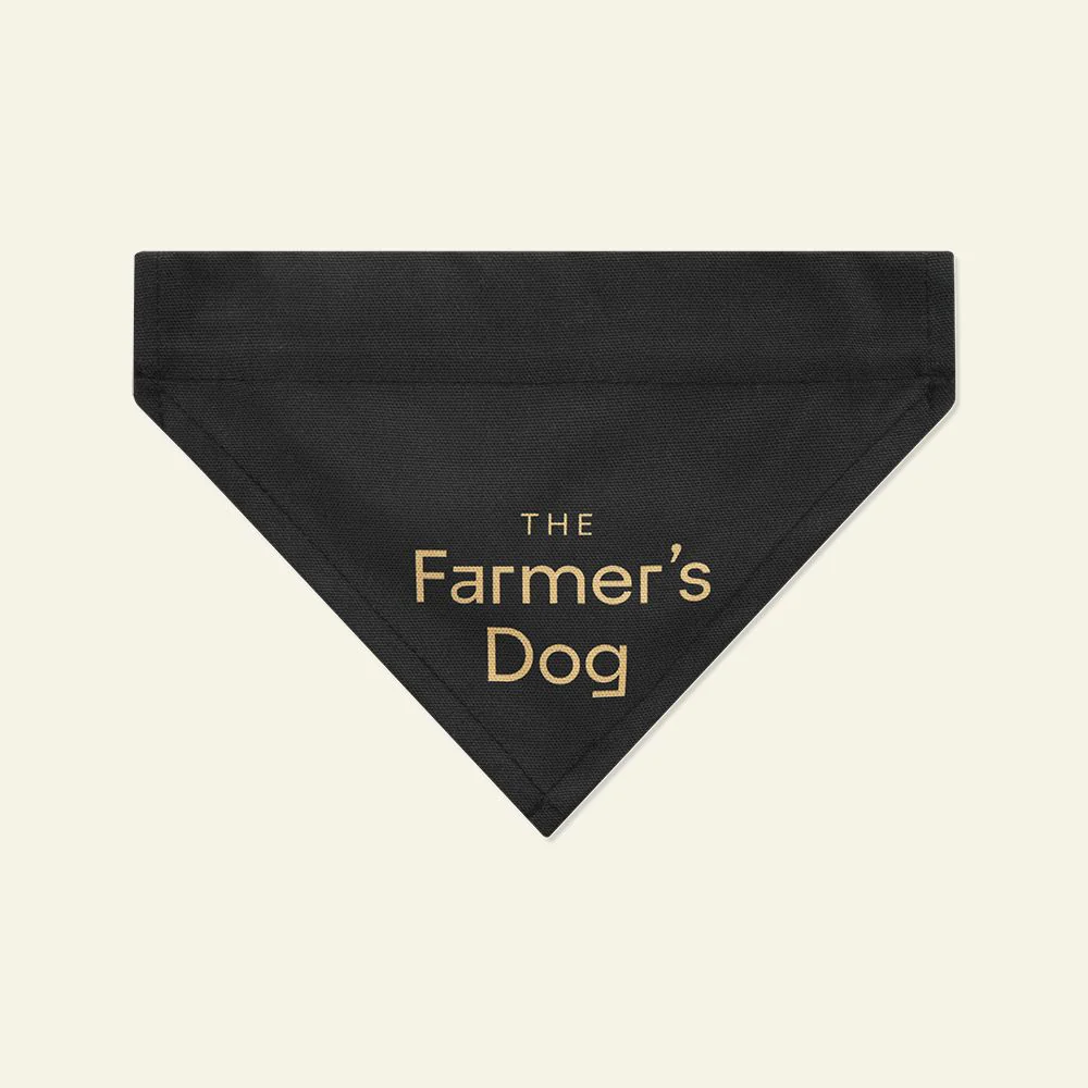 The Farmer's Dog's Bandana - Image 4