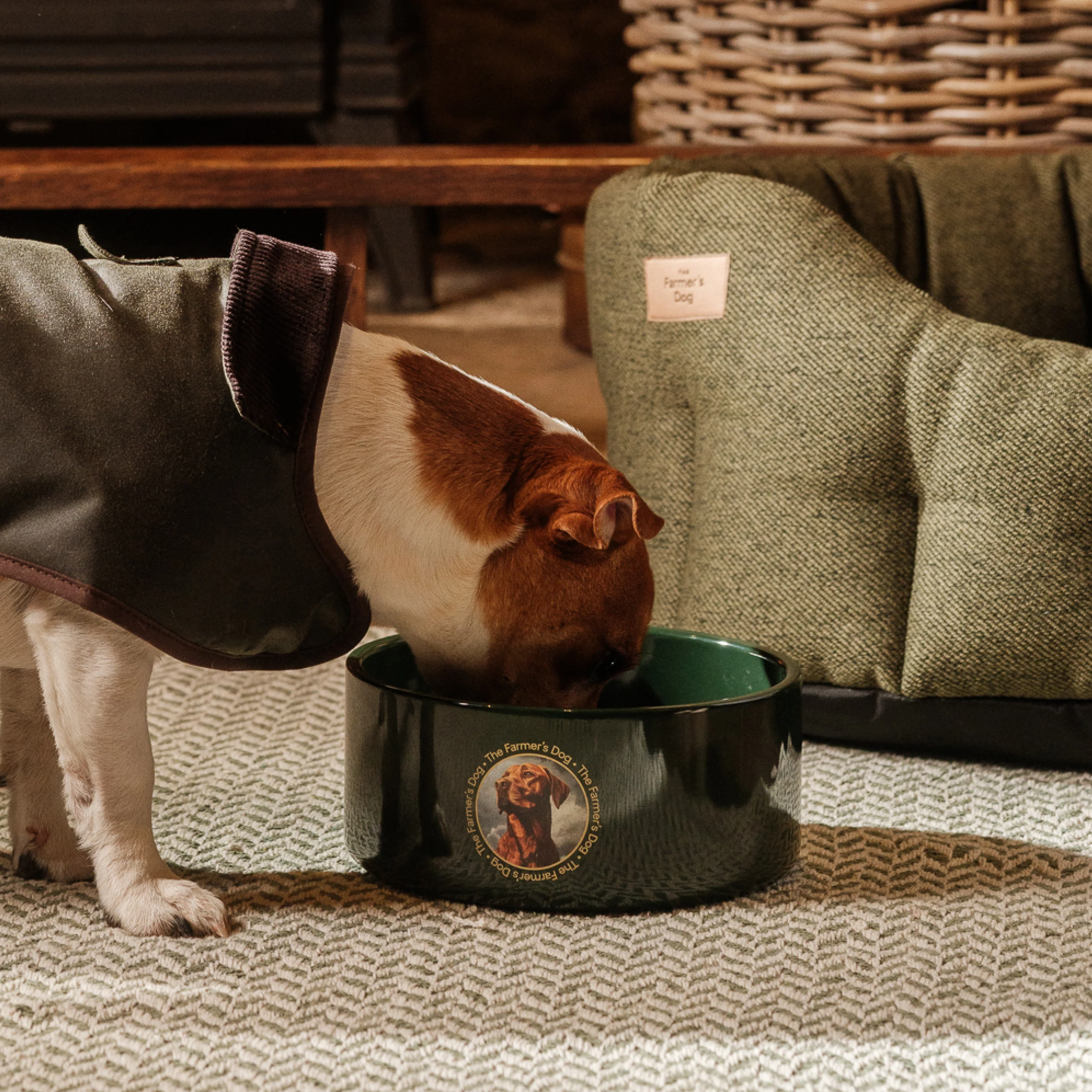 The Farmer's Dog Enamel Dog Bowl - Image 2