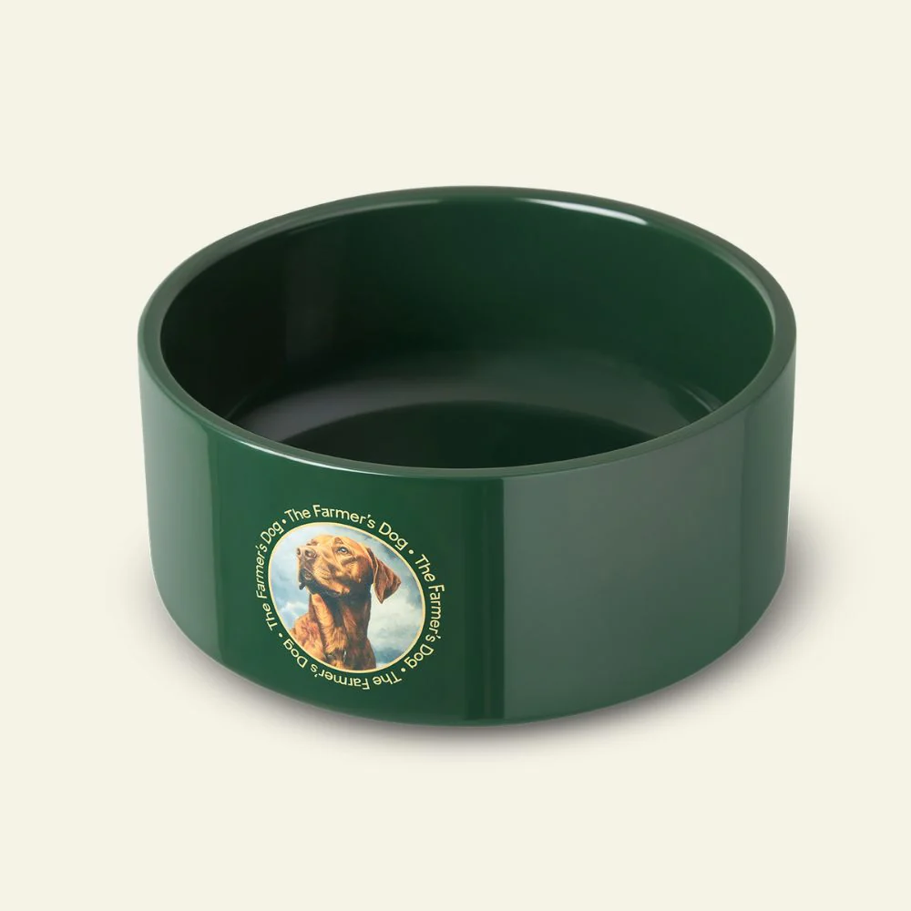 The Farmer's Dog Enamel Dog Bowl - Image 4